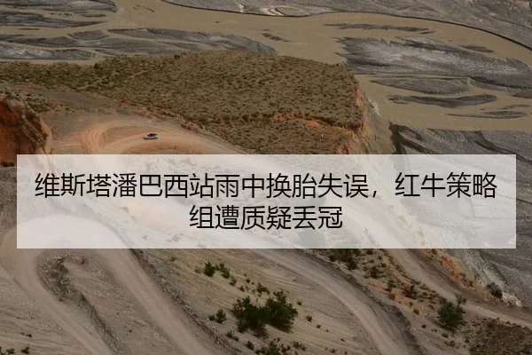 维斯塔潘巴西站雨中换胎失误，红牛策略组遭质疑丢冠