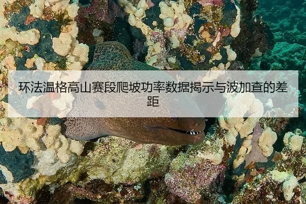 huan-fa-wen-ge-gao-shan-sai-duan-pa-po-gong-lv-shu-ju-jie-shi-yu-bo-jia-cha-de-cha-ju-2-117.jpg