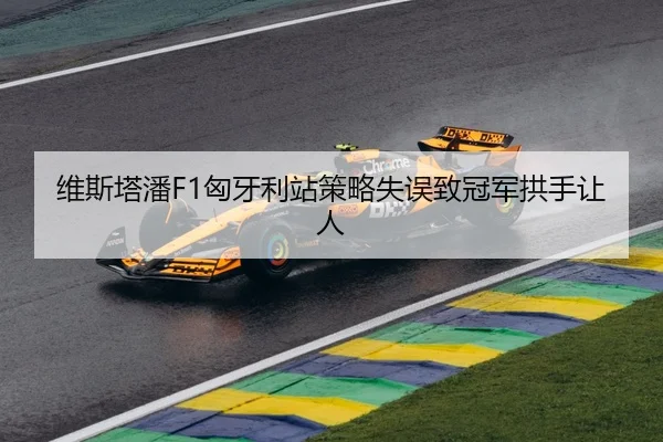 维斯塔潘F1匈牙利站策略失误致冠军拱手让人