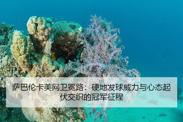 sa-ba-lun-ka-mei-wang-wei-mian-lu-ying-di-fa-qiu-wei-li-yu-xin-tai-qi-fu-jiao-zhi-de-guan-jun-zheng-cheng-3-540.jpg