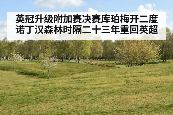 英冠升级附加赛决赛库珀梅开二度诺丁汉森林时隔二十三年重回英超
